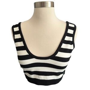 Ronny Kobo Dara Black and White Striped Crop Top